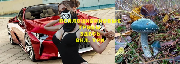 мяу мяу мука Куйбышев