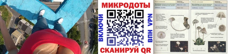 Псилоцибиновые грибы MAGIC MUSHROOMS  наркотики  Шахунья 