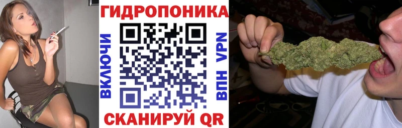 ОМГ ОМГ маркетплейс  Шахунья  нарко площадка наркотические препараты  Бошки Шишки SATIVA & INDICA 